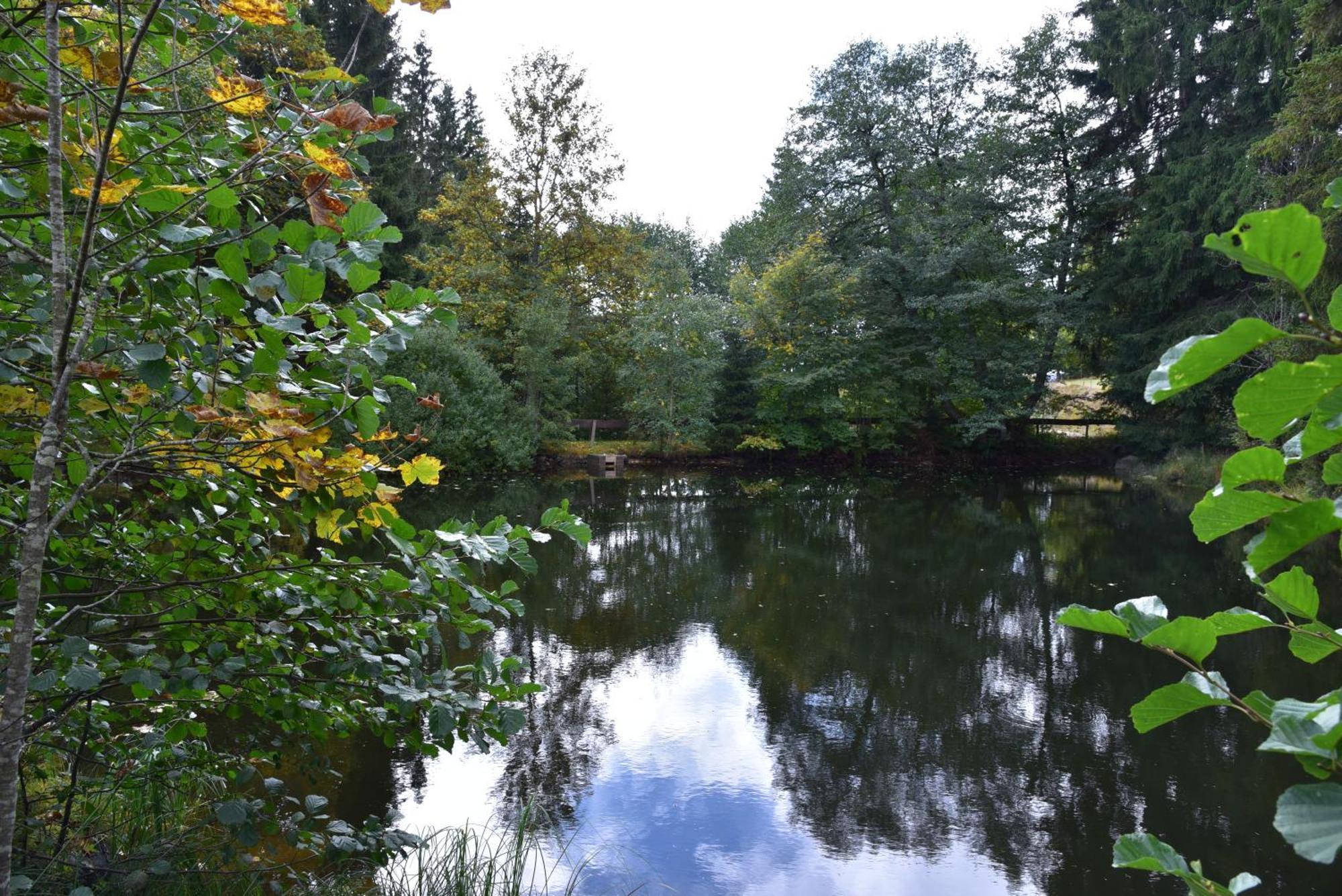Apartment Eisenhauer In Schluchsee Luaran gambar