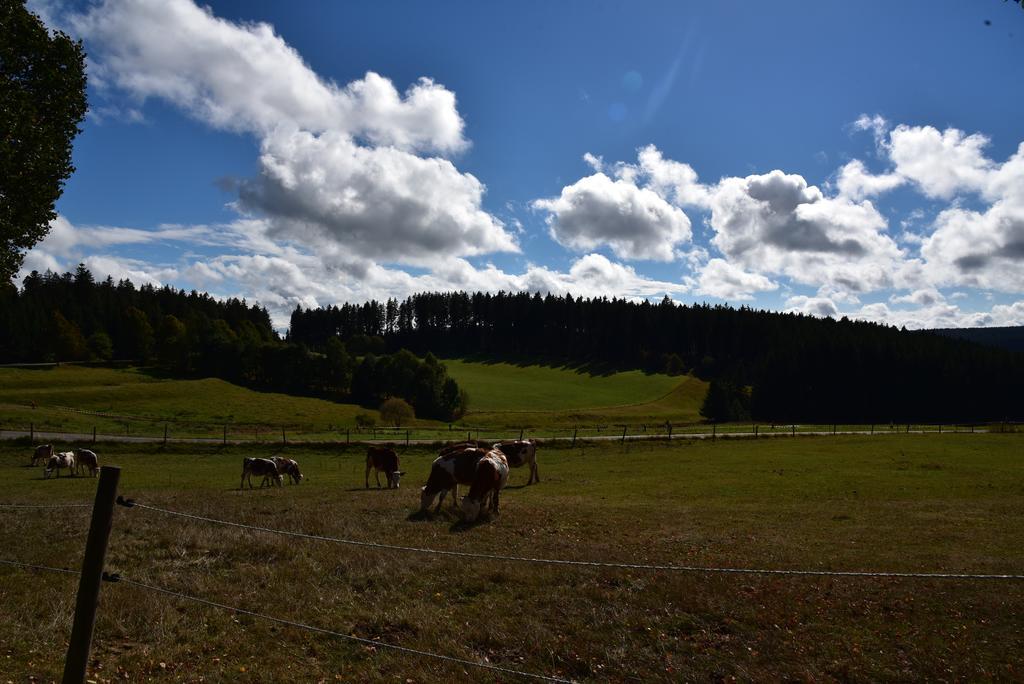 Apartment Eisenhauer In Schluchsee Luaran gambar