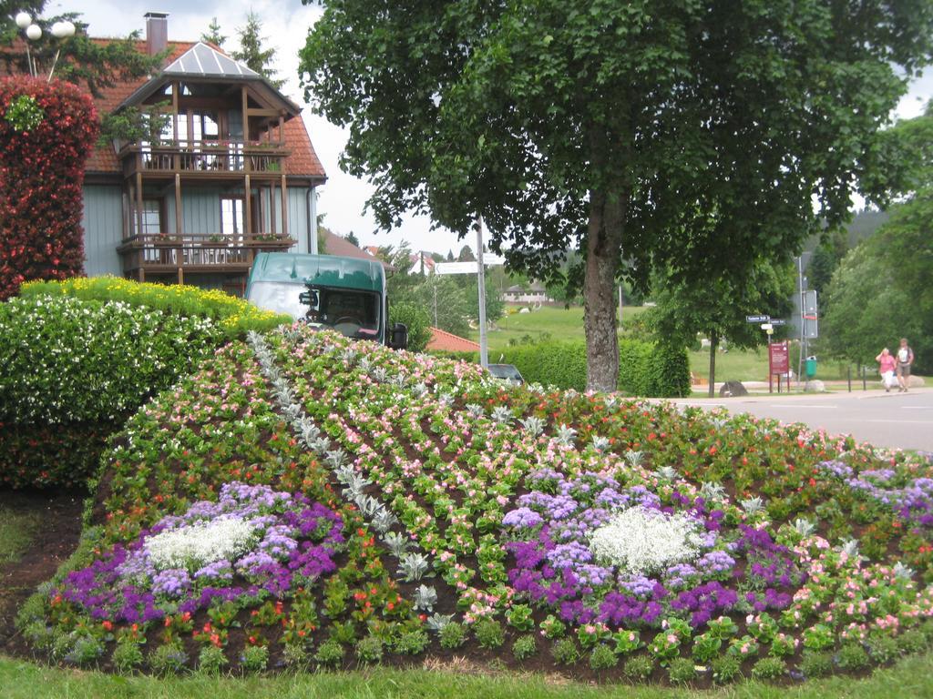Apartment Eisenhauer In Schluchsee Luaran gambar